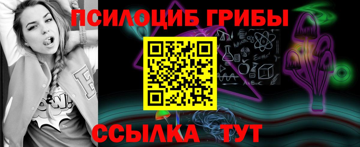 Галлюциногенные грибы мицелий  Вход с VPN  Псилоцибиновые грибы Psilocybe  Медногорск 